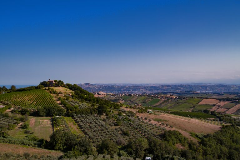 acquaviva picena cosa vedere