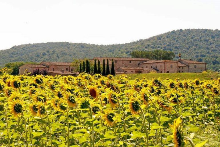 Bagnaia Siena cosa vedere