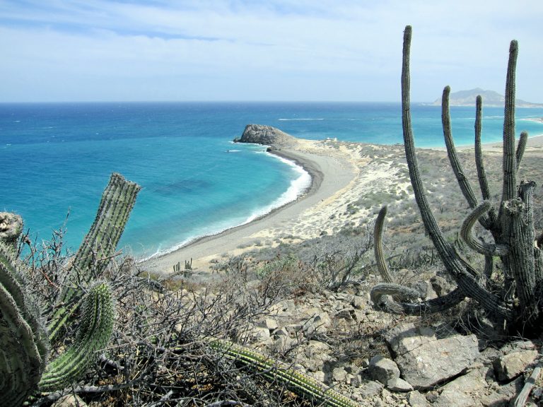 cabo pulmo baja california