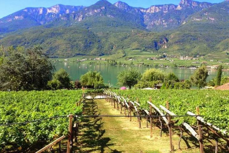 Caldaro lago passeggiate