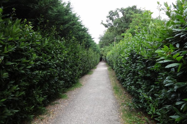 Ciclabile Naviglio Pavese dove inizia