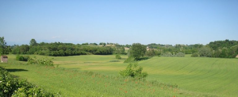 colline moreniche del garda in bici