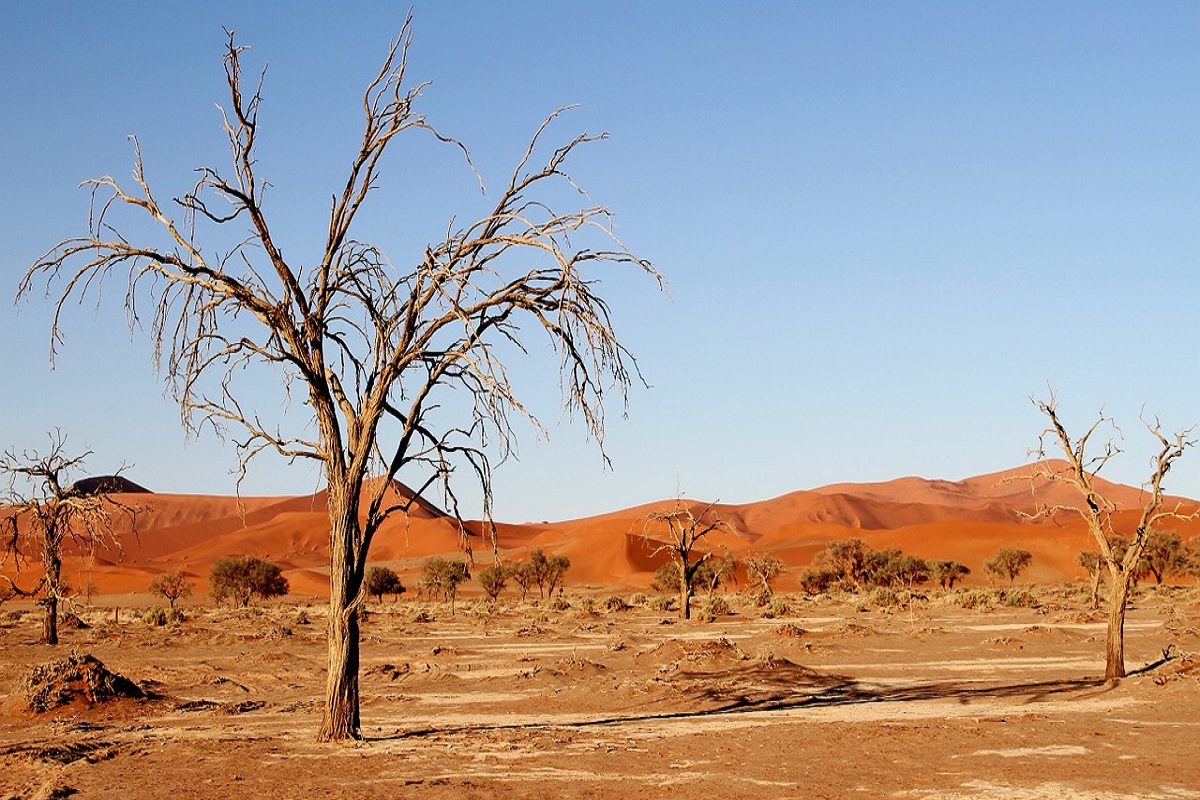 Deserto del Kalahari Sudafrica