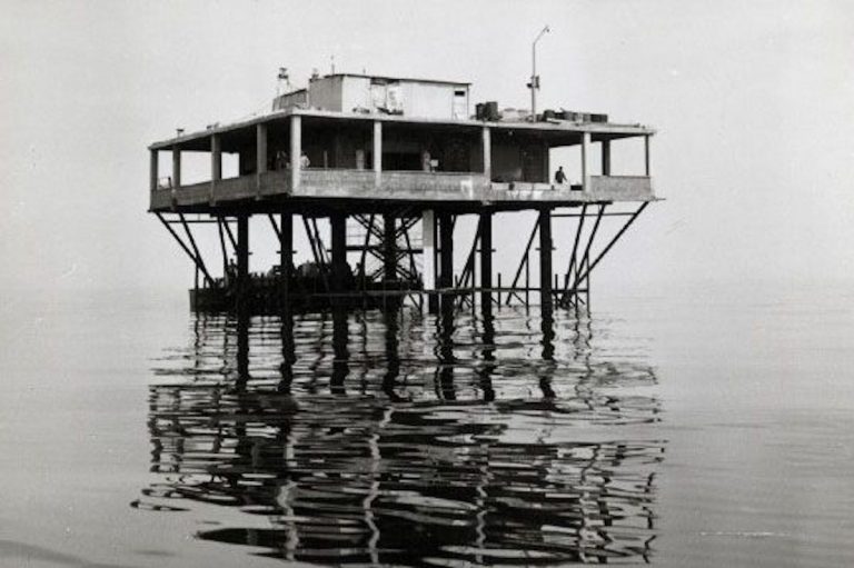 isola delle rose rimini