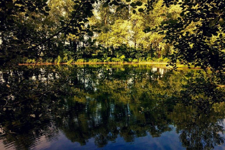 Parco ittico Paradiso