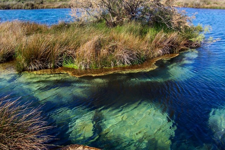 Parco naturale regionale di Porto Selvaggio e Palude del Capitano
