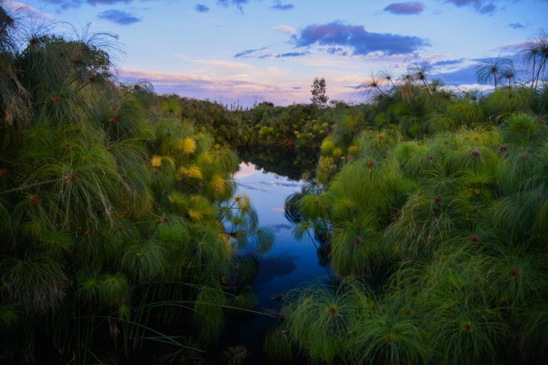 riserva del fiume ciane