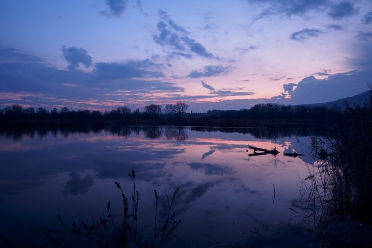 Riserva naturale Torbiere del Sebino percorso centrale