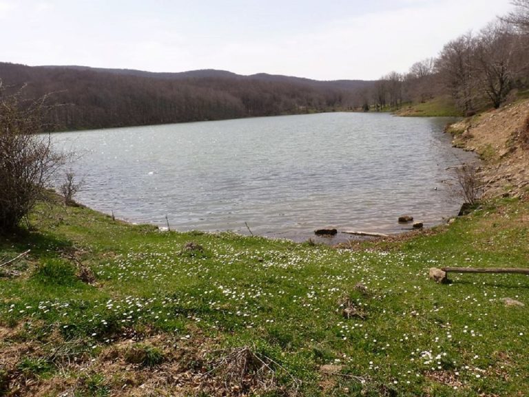 settimana della terra 2020