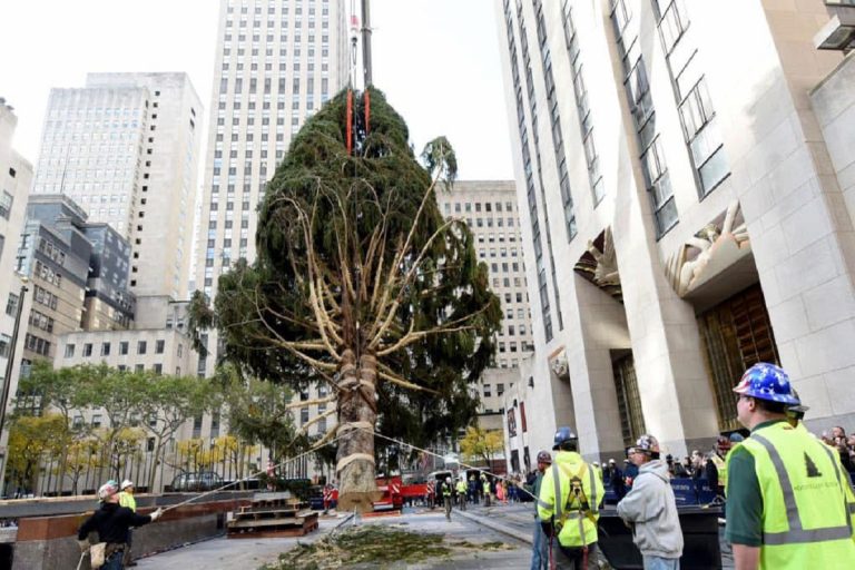 Albero di Natale Rockefeller Center 2020