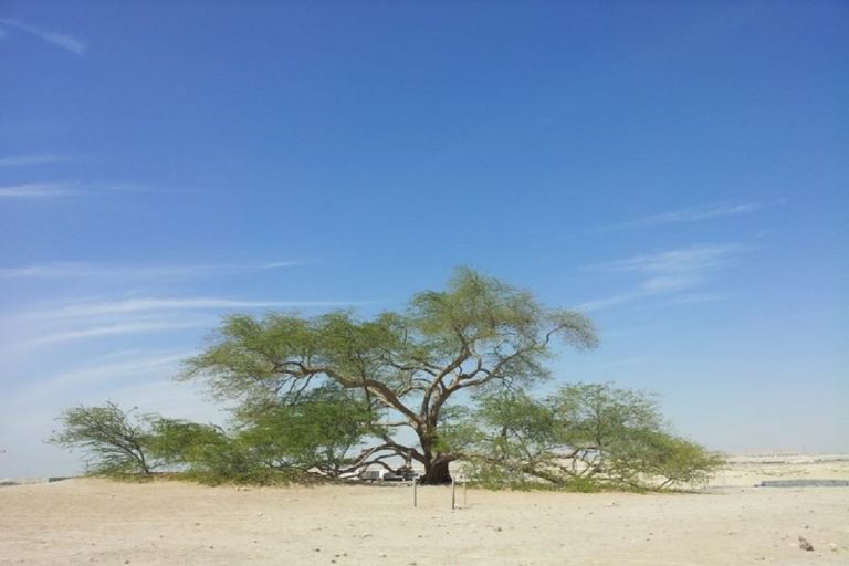 deserto del bahrain
