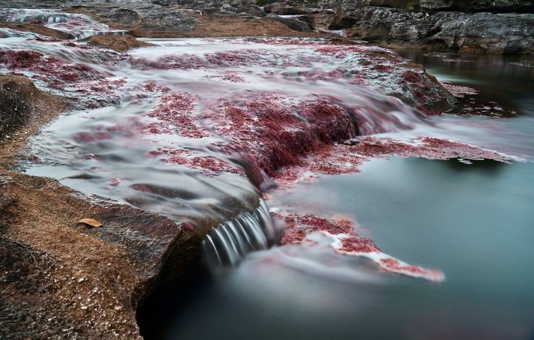 fiume dei cinque colori colombia