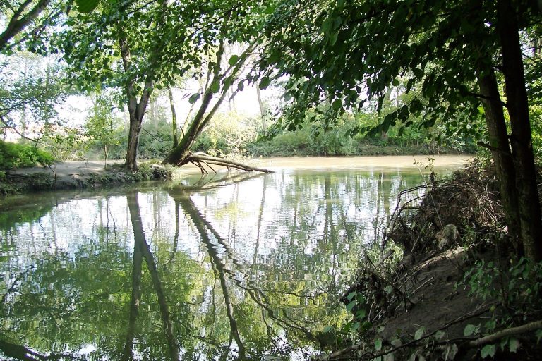 parco della vettabbia milano 2