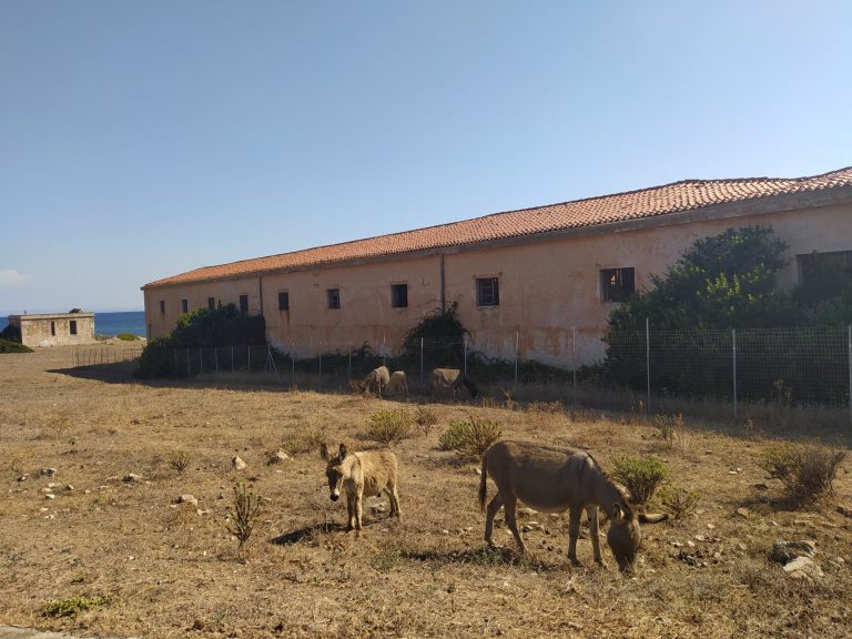 parco nazionale asinara sardegna