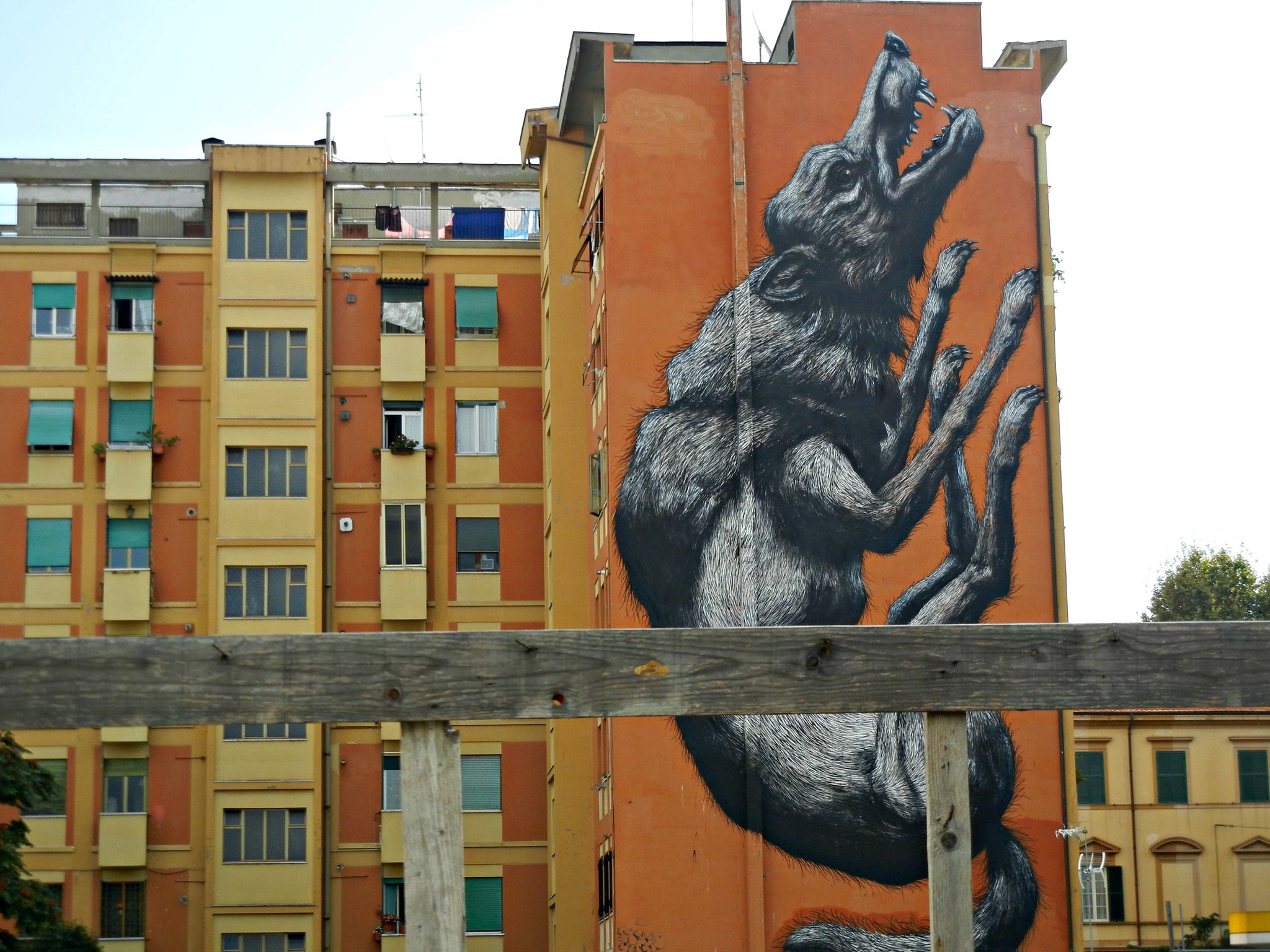 street art testaccio