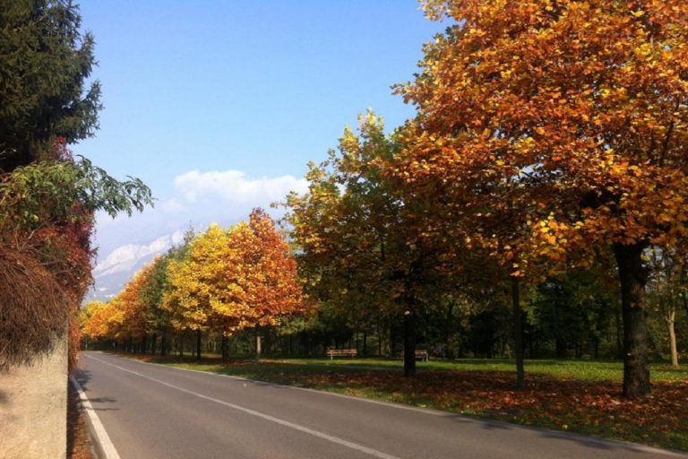 Valgreghentino sentieri