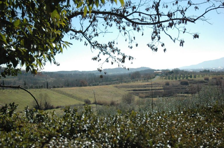 borghi del vino toscana