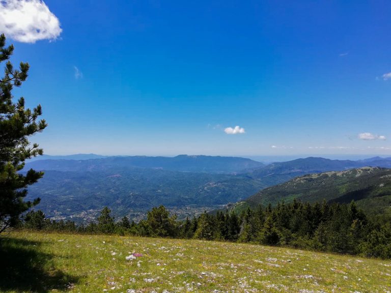 sentiero campo dell osso monte autore