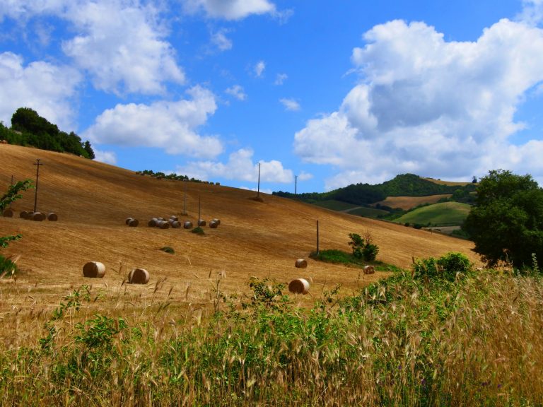 alta irpinia cosa vedere