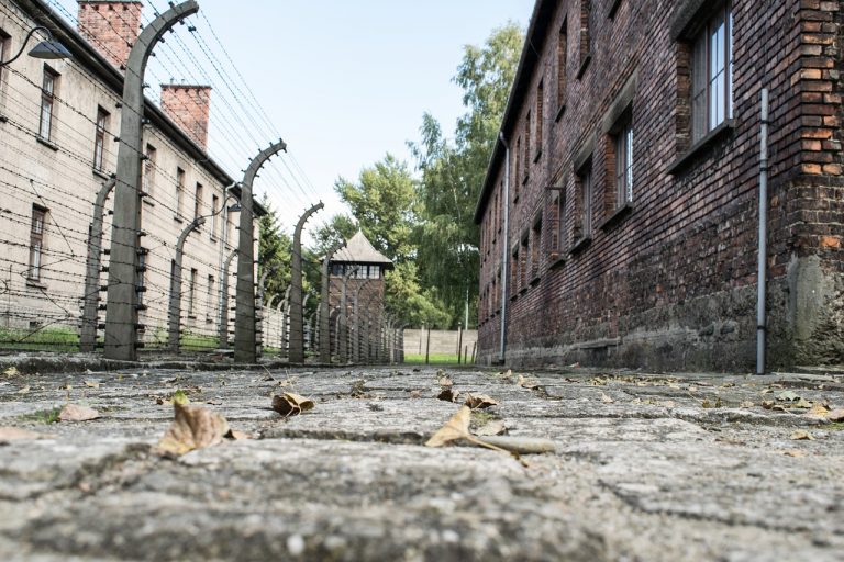 Auschwitz Birkenau tour