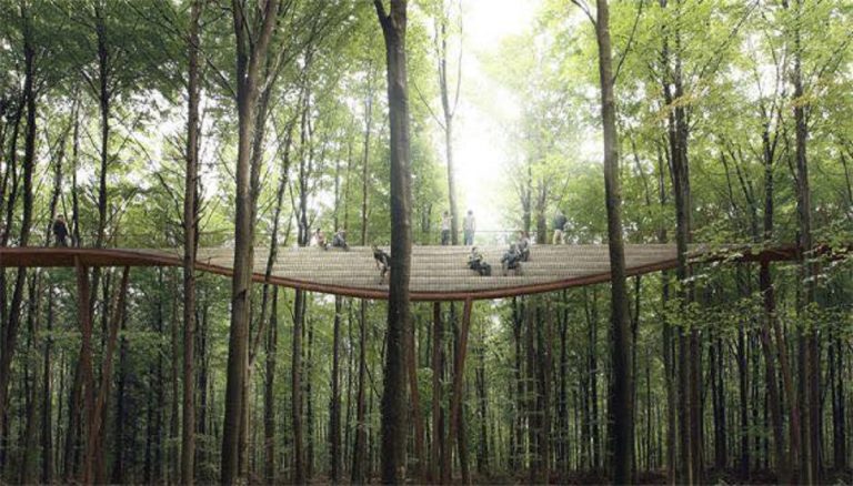 danimarca passerella alberi