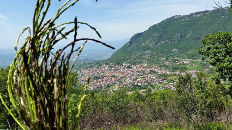 frasso telesino dove si trova