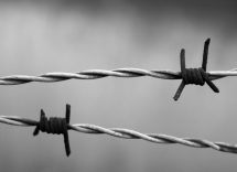 Giorno della Memoria Mirandola