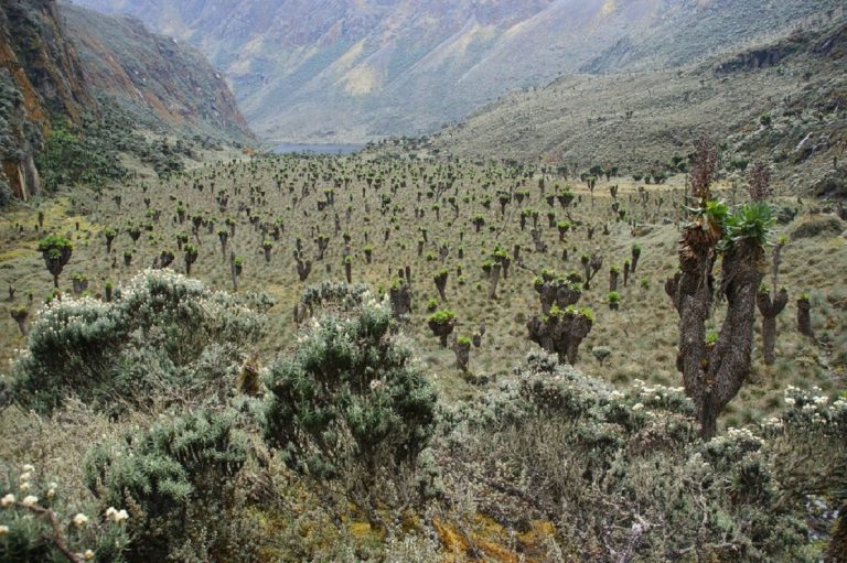 montagne della luna africa