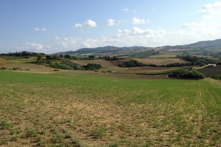 San Patrignano dove si trova come arrivare