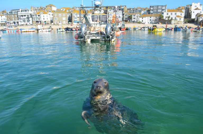 st ives tripadvisor