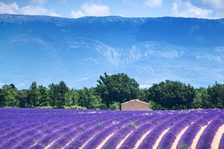 Provenza Alpi Costa Azzurra cosa vedere