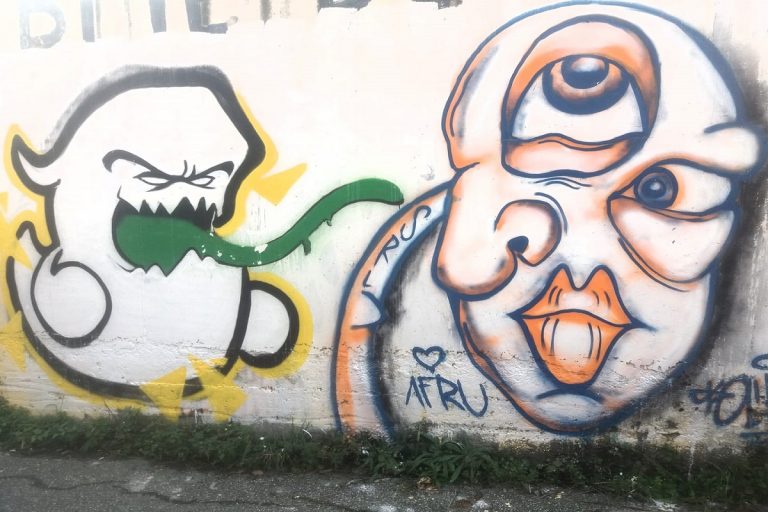 Adotta un vicolo Carrara