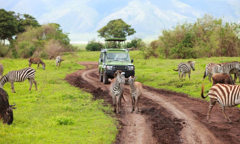 programmare safari in tanzania