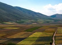 Le più belle fioriture in Italia