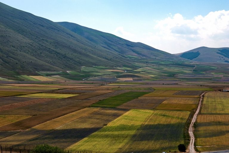 Le più belle fioriture in Italia