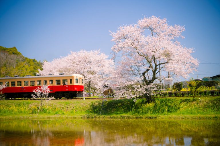 chiba cosa vedere (1)