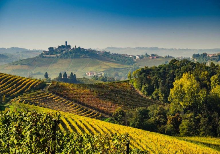 langhe piemonte