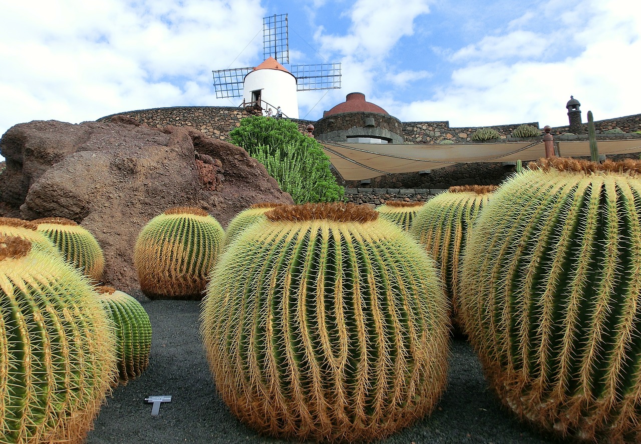 Lanzarote: cosa vedere nell'isola vulcanica delle Canarie