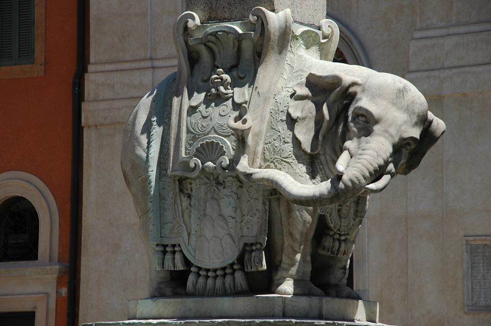 Elefantino Piazza della Minerva, Roma