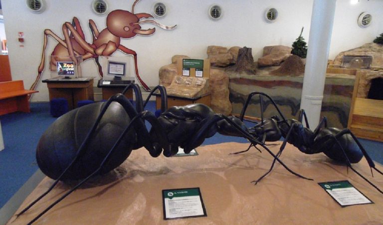 Genova cosa vedere con i bambini