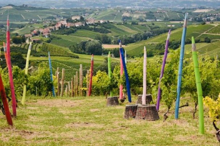 la pen art nel Monferrato