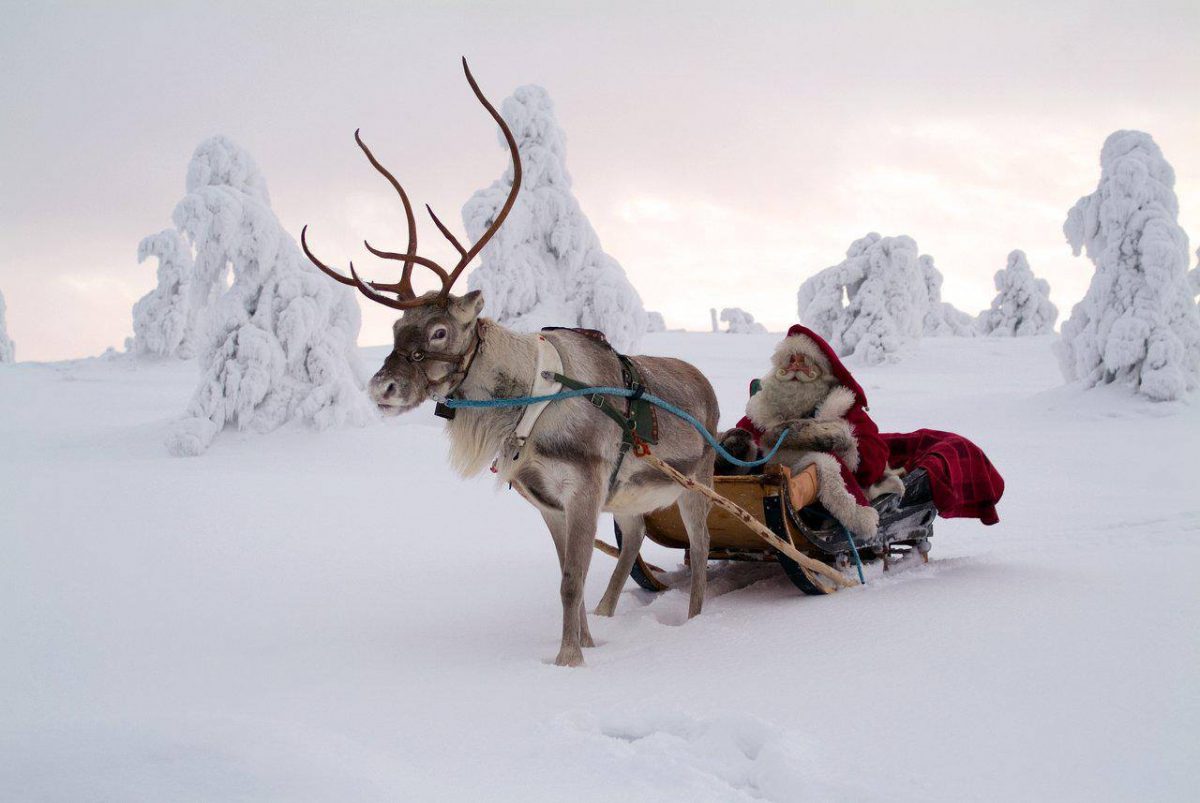 Escursioni con le renne nel Villaggio di Babbo Natale