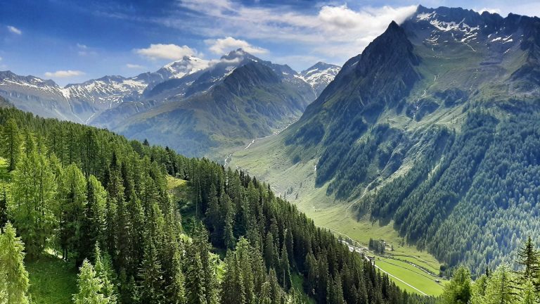 In montagna senza sciare: le attività da fare