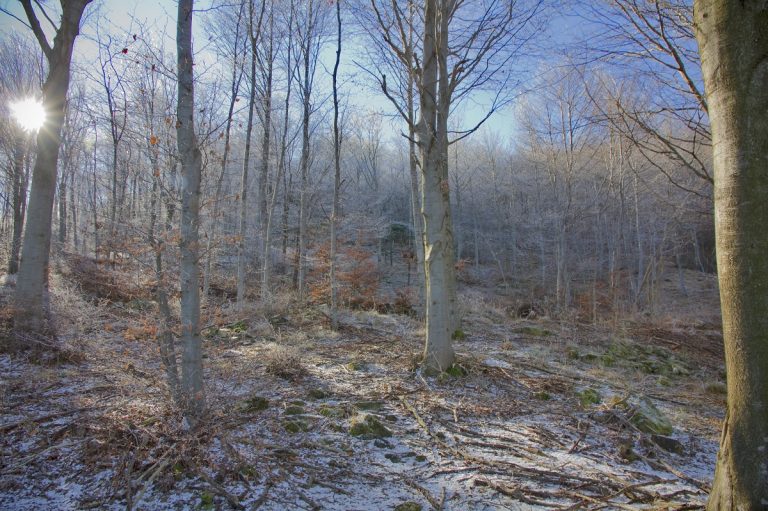 Dove-andare-a-gennaio-in-Italia