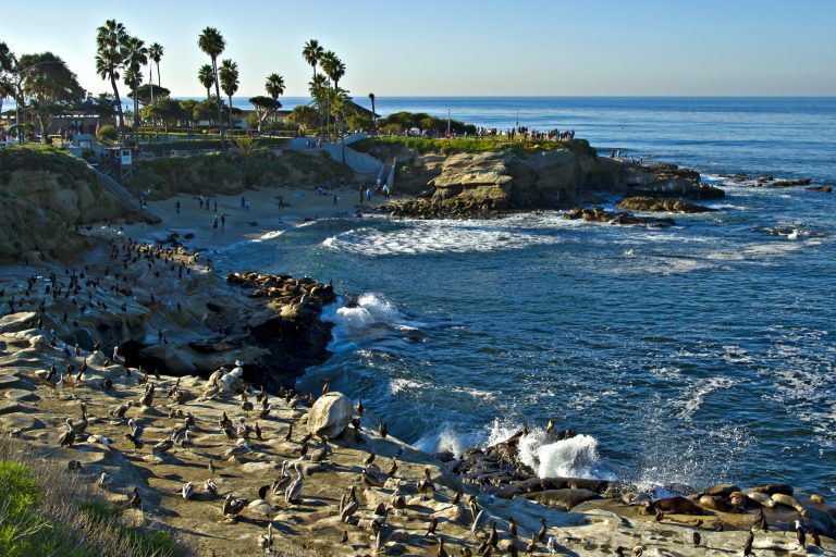 Baia de La Jolla di San Diego