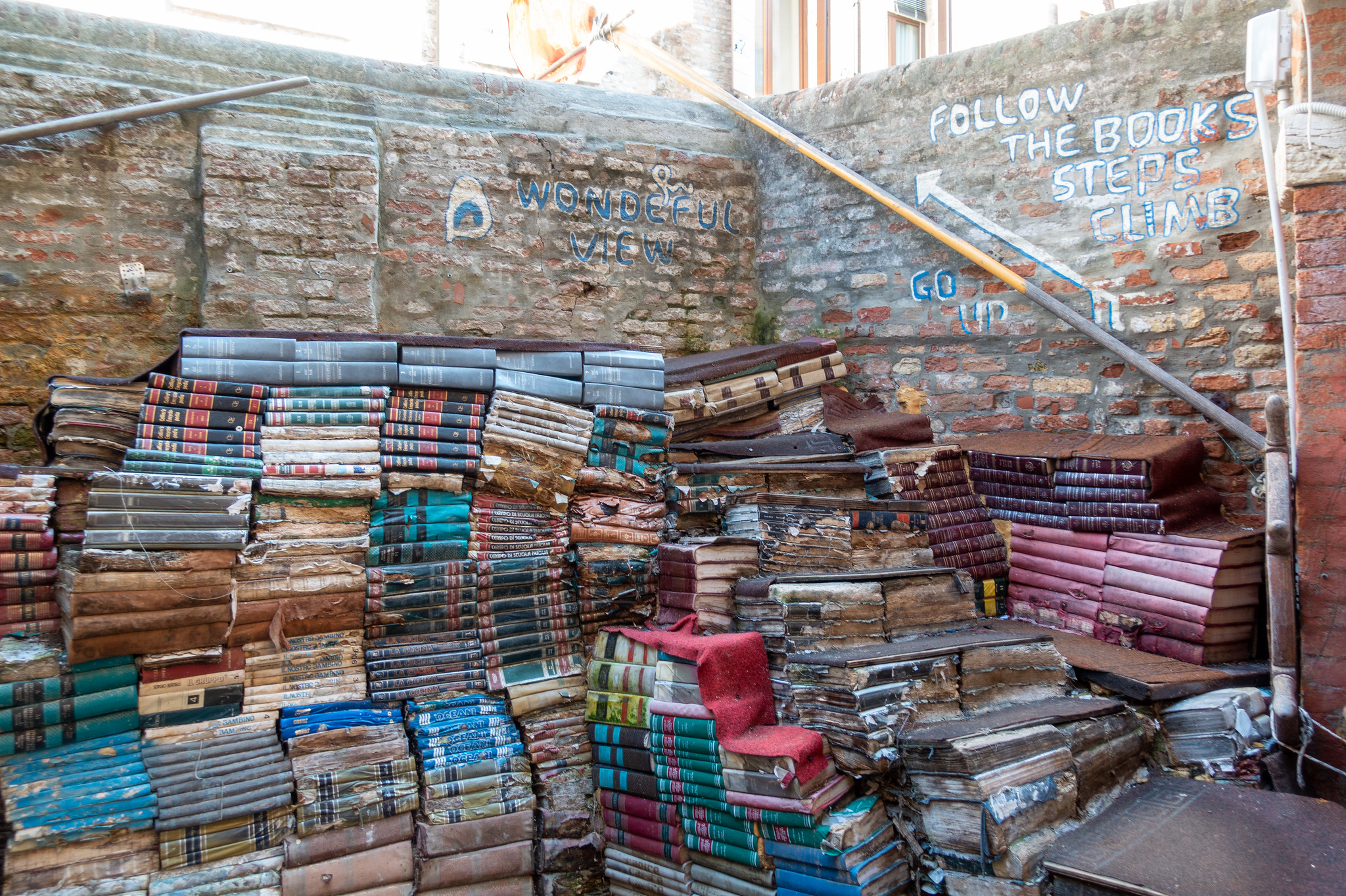 Libreria Acqua Alta di Venezia regno dei gatti e dei libri in gondola e in vasca