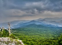 Parco del Pollino: dove si trova e cosa vedere