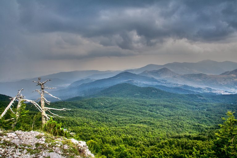 Parco del Pollino: dove si trova e cosa vedere