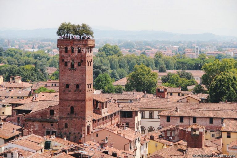 cosa vedere lucca