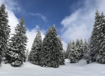 Solstizio d'inverno: quando cade e cosa sapere